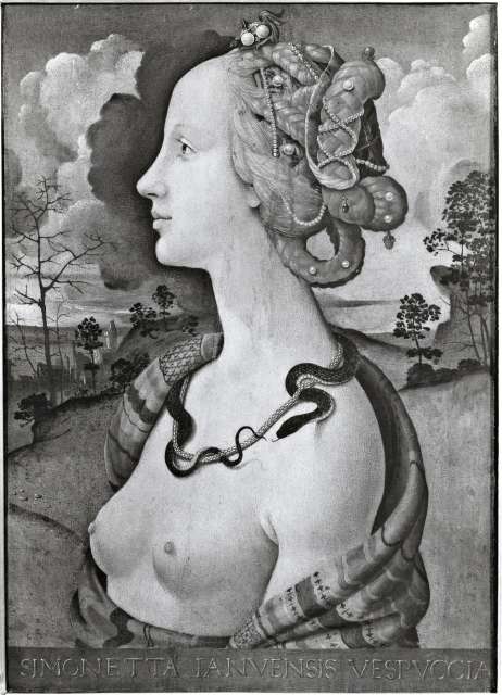 Giraudon — Piero di Cosimo. La Belle Simonetta Vespucci. Chantilly. Condé — insieme